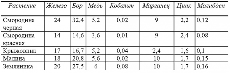 Годовой цикл работ в саду и огороде Годовой цикл работ в саду и огороде