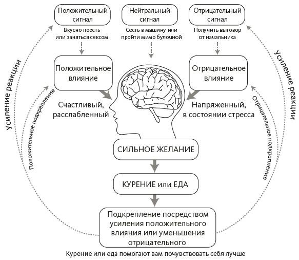 Зависимый мозг. От курения до соцсетей. Почему мы заводим вредные привычки и как от них избавиться Зависимый мозг. От курения до соцсетей. Почему мы заводим вредные привычки и как от них избавиться