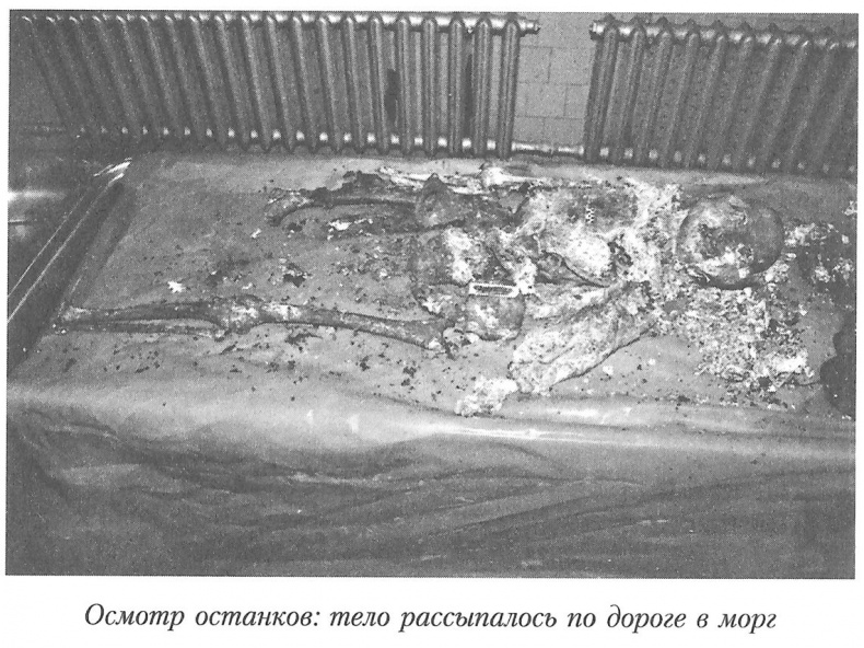 Тайны реального следствия. Записки следователя прокуратуры по особо важным делам Тайны реального следствия. Записки следователя прокуратуры по особо важным делам