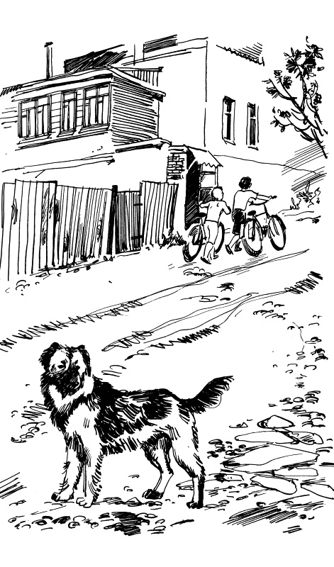 Прикольные игры на Краю Света. Три повести об отрочестве Прикольные игры на Краю Света. Три повести об отрочестве