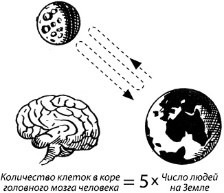 Занимательная психология Занимательная психология
