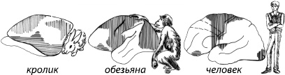 Занимательная психология Занимательная психология