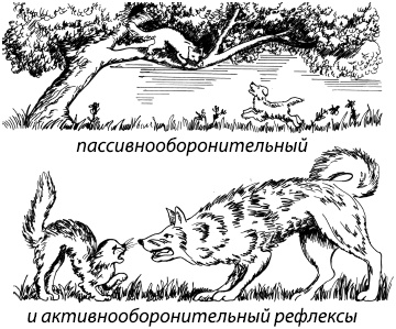 Занимательная психология Занимательная психология