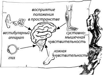 Занимательная психология Занимательная психология