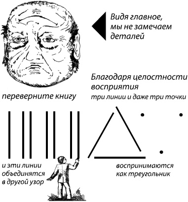 Занимательная психология Занимательная психология