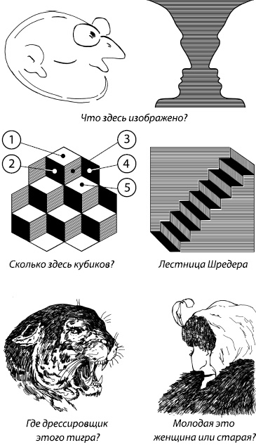 Занимательная психология Занимательная психология