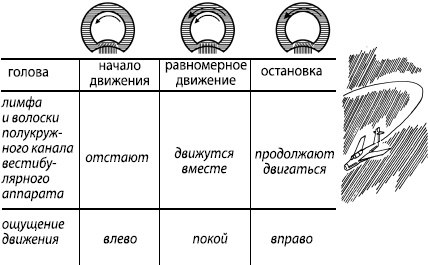 Занимательная психология Занимательная психология