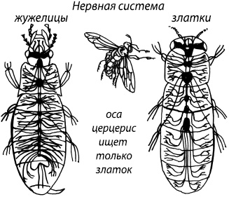 Занимательная психология Занимательная психология