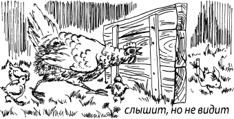 Занимательная психология Занимательная психология