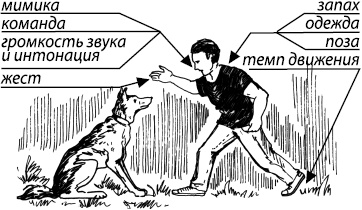 Занимательная психология Занимательная психология