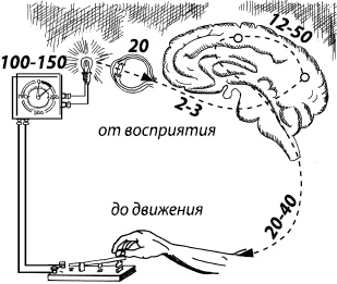 Занимательная психология Занимательная психология