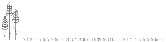 Мечты сбываются! Метод мыслеформ Мечты сбываются! Метод мыслеформ