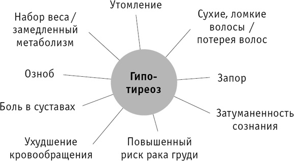 Веганское сыроедение и здоровый образ жизни Веганское сыроедение и здоровый образ жизни