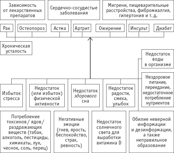 Веганское сыроедение и здоровый образ жизни Веганское сыроедение и здоровый образ жизни