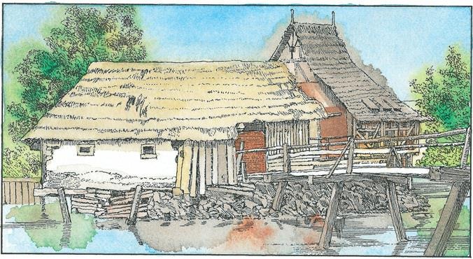Детский университет. Исследователи объясняют загадки мира. Книга первая Детский университет. Исследователи объясняют загадки мира. Книга первая