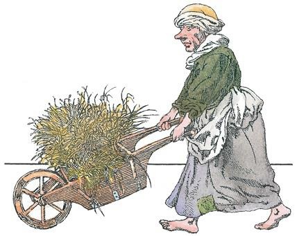 Детский университет. Исследователи объясняют загадки мира. Книга первая Детский университет. Исследователи объясняют загадки мира. Книга первая
