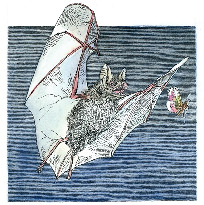 Детский университет. Исследователи объясняют загадки мира. Книга первая Детский университет. Исследователи объясняют загадки мира. Книга первая
