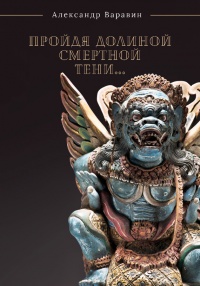 Пройдя долиной смертной тени… - Александр Варавин - Читать книги онлайн | Слушать аудиокниги онлайн | Электронная библиотека books-lib.com