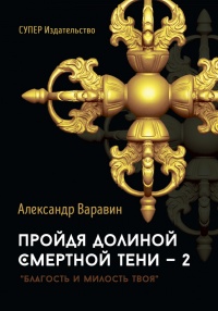 Пройдя долиной смертной тени — 2. Благость и милость Твоя - Александр Варавин - Читать книги онлайн | Слушать аудиокниги онлайн | Электронная библиотека books-lib.com