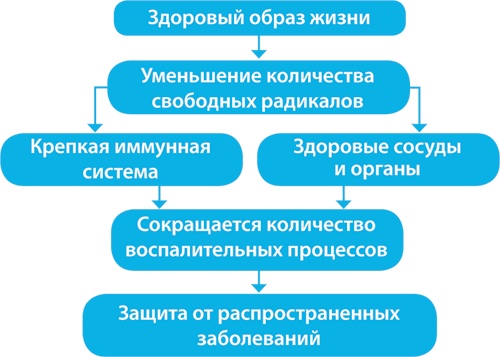 Скандинавский секрет. Простые правила здоровой и счастливой жизни Скандинавский секрет. Простые правила здоровой и счастливой жизни