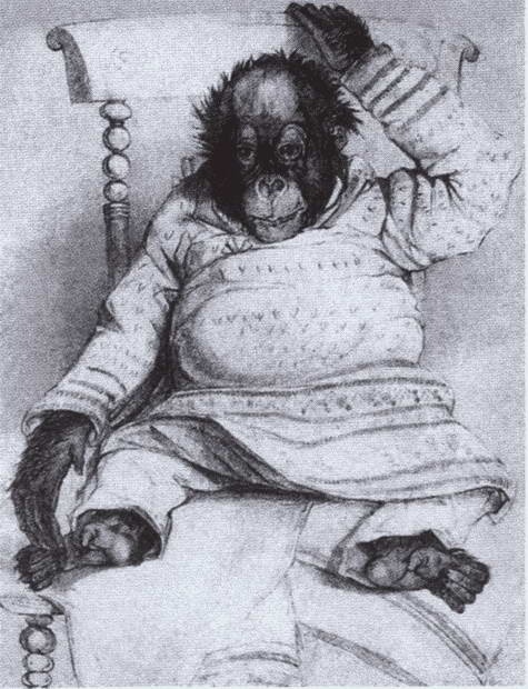 Дарвин Дарвин