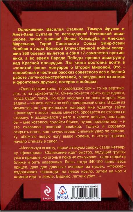 Сковать боем! Советские асы против Люфтваффе Сковать боем! Советские асы против Люфтваффе