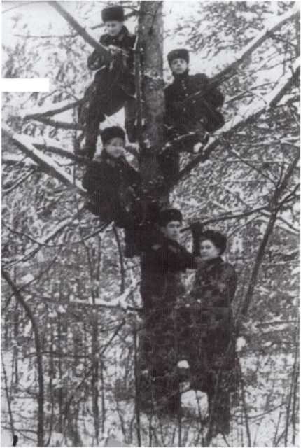 Громов Громов