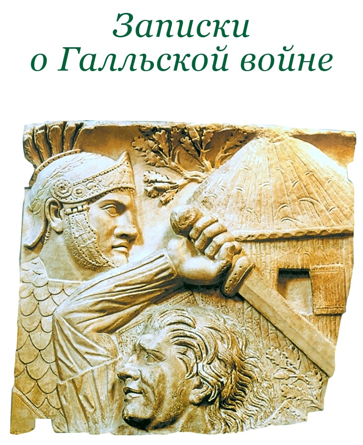 Разделяй и властвуй. Записки триумфатора Разделяй и властвуй. Записки триумфатора