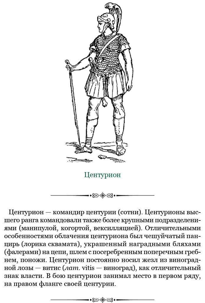Разделяй и властвуй. Записки триумфатора Разделяй и властвуй. Записки триумфатора
