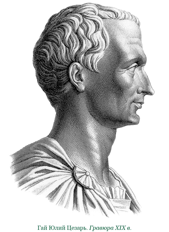 Разделяй и властвуй. Записки триумфатора Разделяй и властвуй. Записки триумфатора