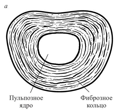 Практический курс здоровья для вашего позвоночника Практический курс здоровья для вашего позвоночника
