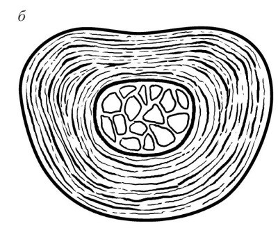 Практический курс здоровья для вашего позвоночника Практический курс здоровья для вашего позвоночника