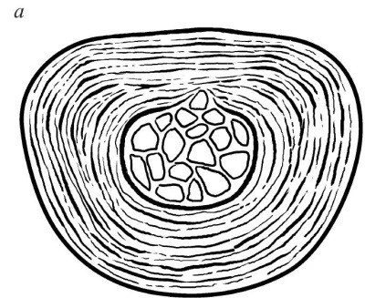 Практический курс здоровья для вашего позвоночника Практический курс здоровья для вашего позвоночника