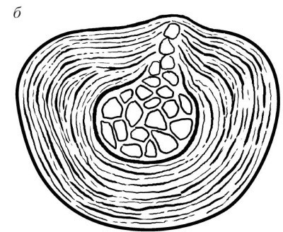 Практический курс здоровья для вашего позвоночника Практический курс здоровья для вашего позвоночника