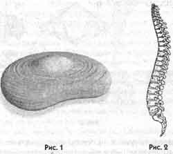 Победить боль в спине Победить боль в спине