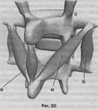 Победить боль в спине Победить боль в спине