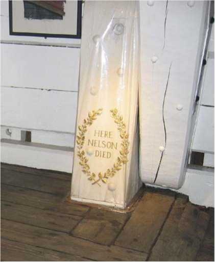 Вице-адмирал Нельсон Вице-адмирал Нельсон