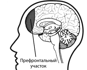 Думай как математик. Как решать любые задачи быстрее и эффективнее Думай как математик. Как решать любые задачи быстрее и эффективнее