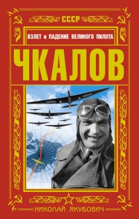Чкалов. Взлет и падение великого пилота - Николай Якубович - Читать книги онлайн | Слушать аудиокниги онлайн | Электронная библиотека books-lib.com