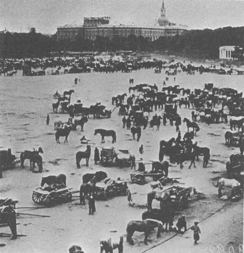 Первая мировая в 211 эпизодах Первая мировая в 211 эпизодах