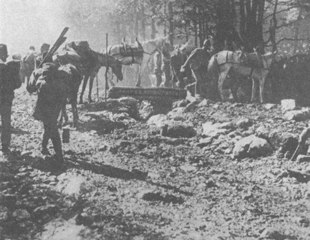 Первая мировая в 211 эпизодах Первая мировая в 211 эпизодах