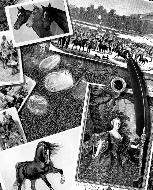 Мафтей: книга, написанная сухим пером Мафтей: книга, написанная сухим пером