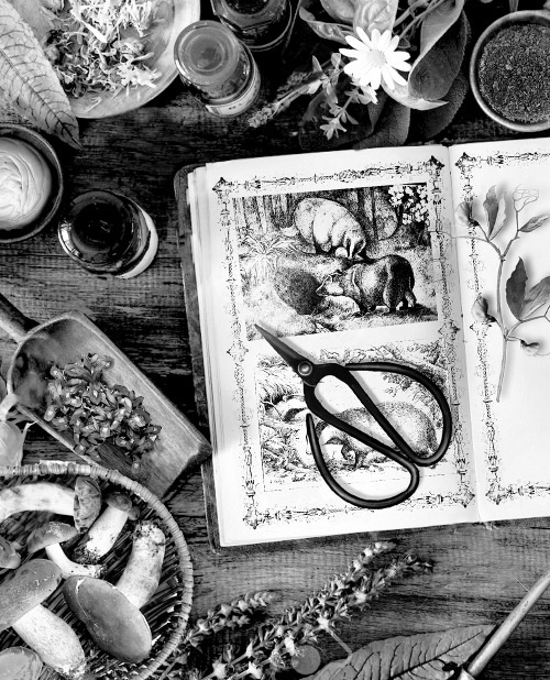 Мафтей: книга, написанная сухим пером Мафтей: книга, написанная сухим пером