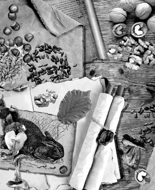Мафтей: книга, написанная сухим пером Мафтей: книга, написанная сухим пером