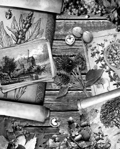 Мафтей: книга, написанная сухим пером Мафтей: книга, написанная сухим пером