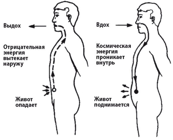 Цигун для начинающих Цигун для начинающих