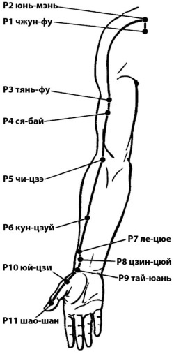 Цигун для начинающих Цигун для начинающих