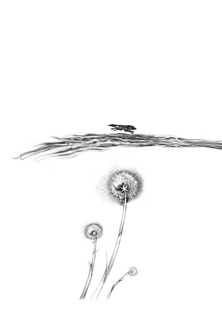 Трилунье. Острова Луны Трилунье. Острова Луны