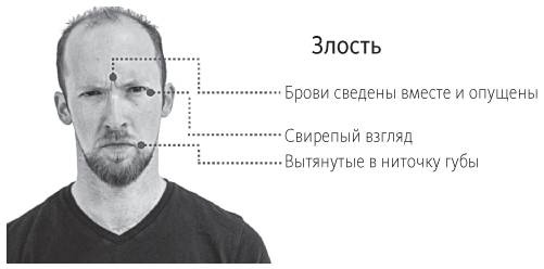 Наука общения. Как читать эмоции, понимать намерения и находить общий язык с людьми Наука общения. Как читать эмоции, понимать намерения и находить общий язык с людьми