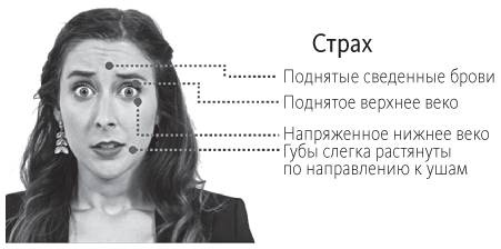Наука общения. Как читать эмоции, понимать намерения и находить общий язык с людьми Наука общения. Как читать эмоции, понимать намерения и находить общий язык с людьми